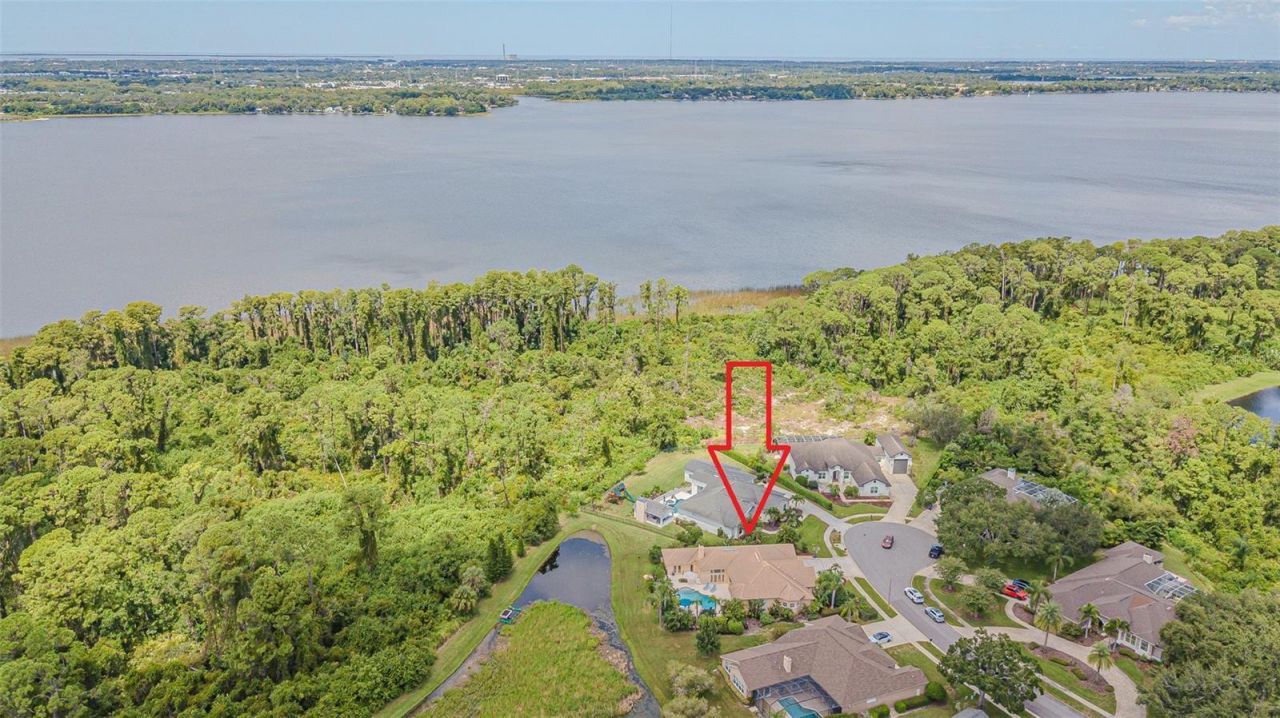 3550 Justin Drive, Palm Harbor, FL 34685 Photo