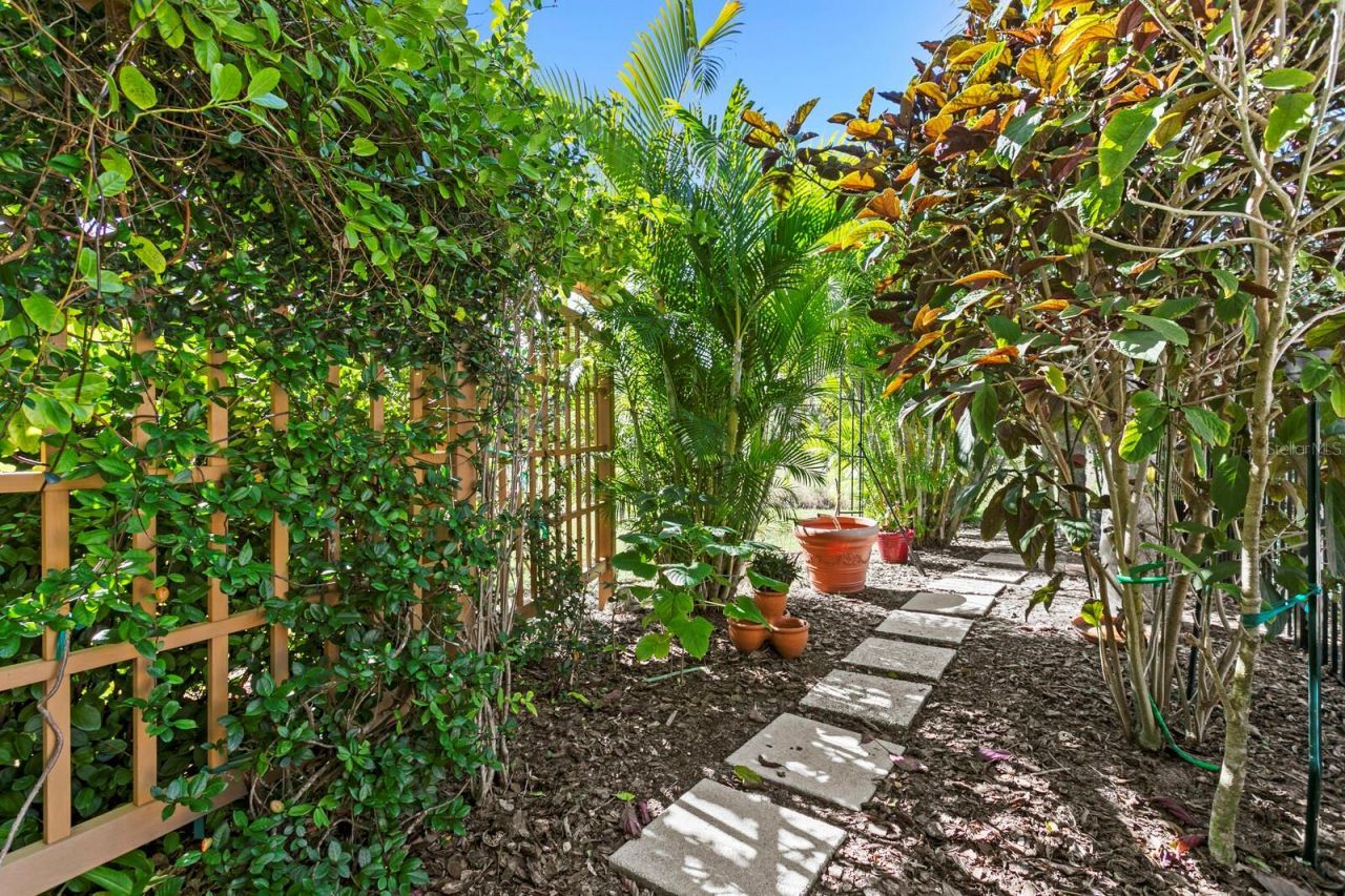 3550 Justin Drive, Palm Harbor, FL 34685 Photo