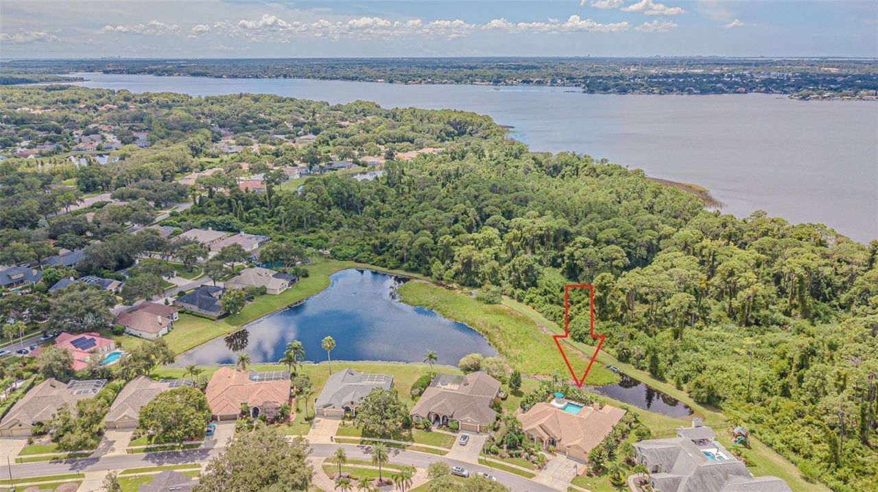 3550 Justin Drive, Palm Harbor, FL 34685 Photo