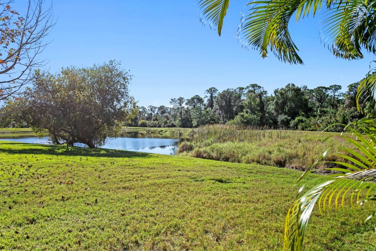 3550 Justin Drive, Palm Harbor, FL 34685 Photo