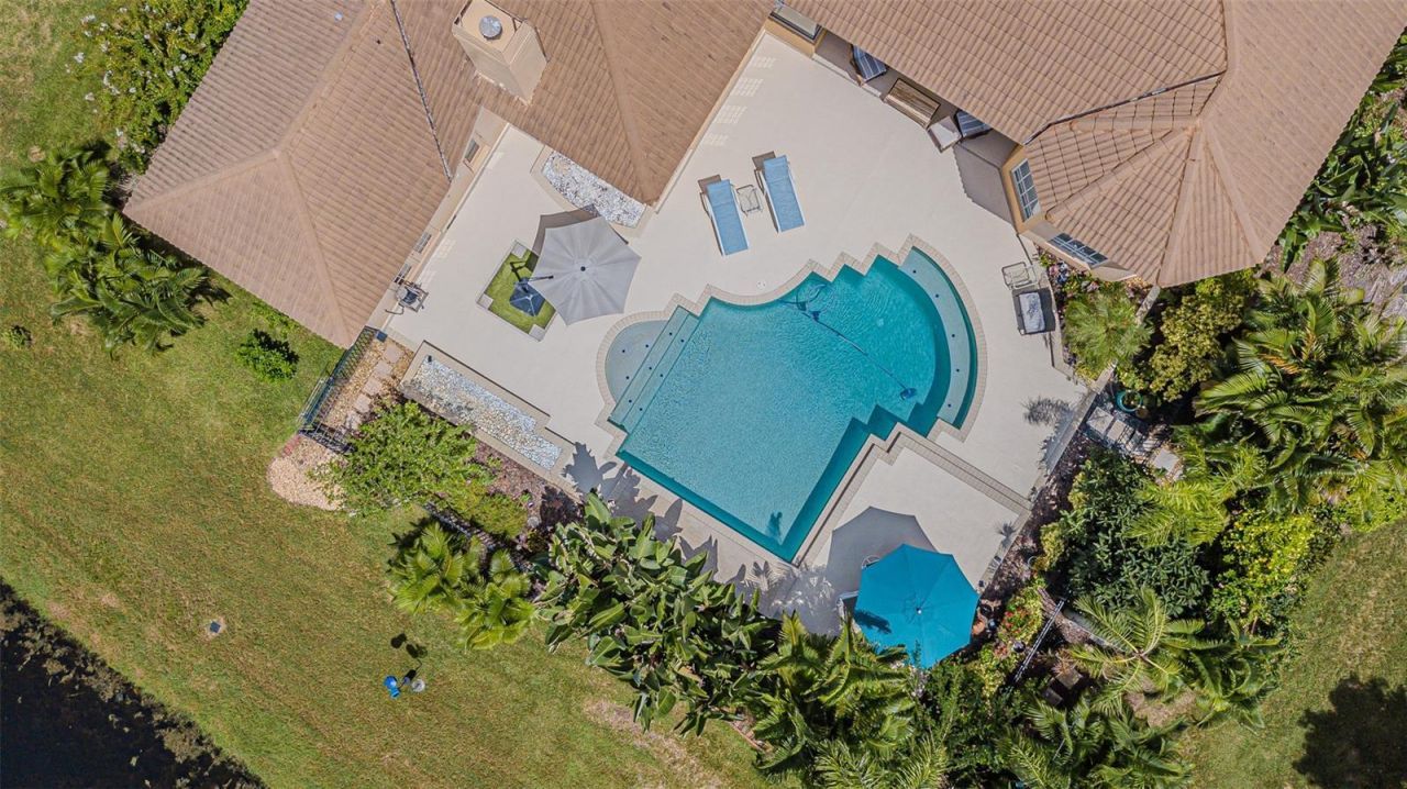 3550 Justin Drive, Palm Harbor, FL 34685 Photo