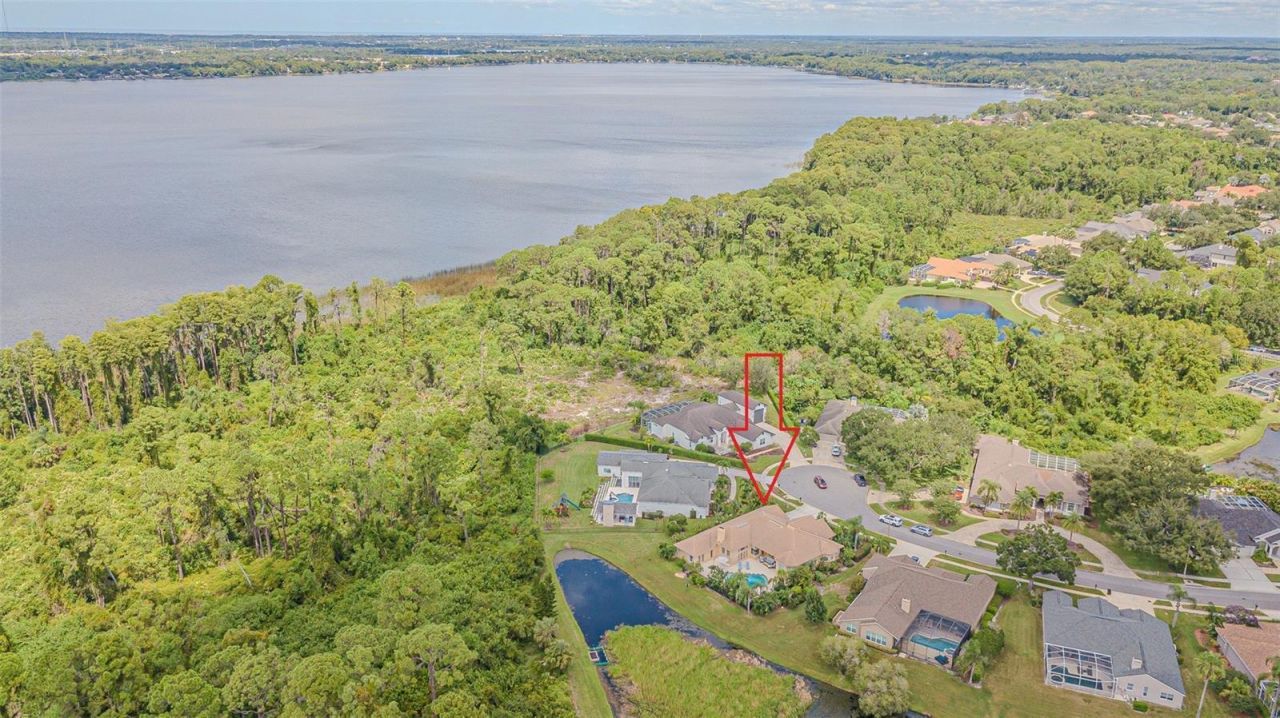 3550 Justin Drive, Palm Harbor, FL 34685 Photo