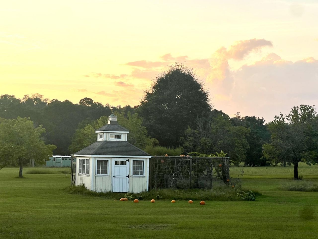 195 Sandy Springs Circle Photo 33