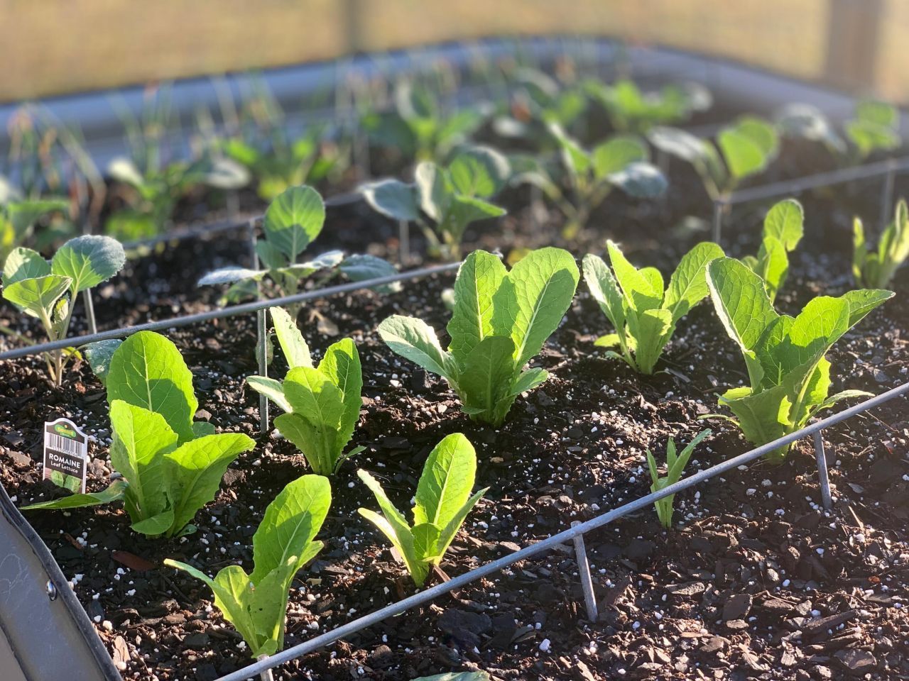 195 Sandy Springs Circle Photo 35