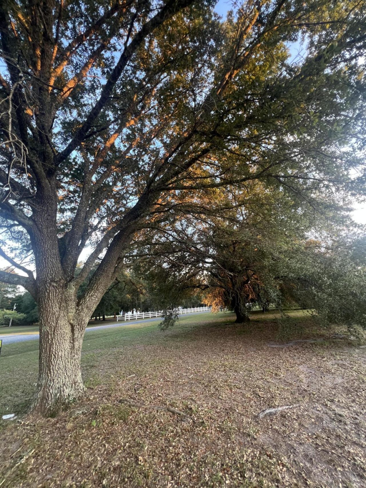 195 Sandy Springs Circle Photo 43