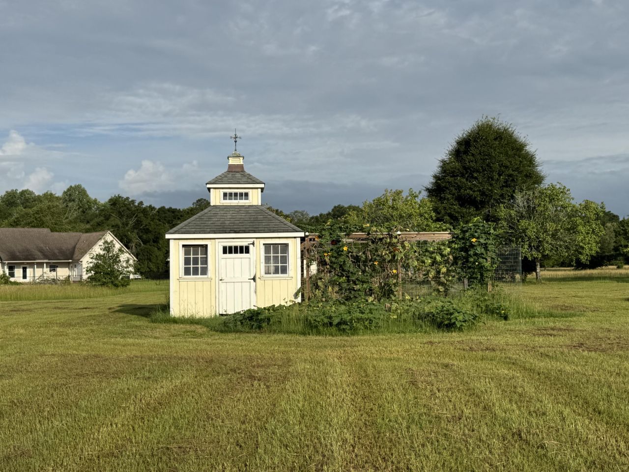 195 Sandy Springs Circle Photo 5