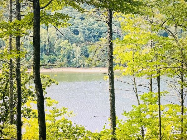 Lot 119 Greenberry DR, Pittsville, VA 24139