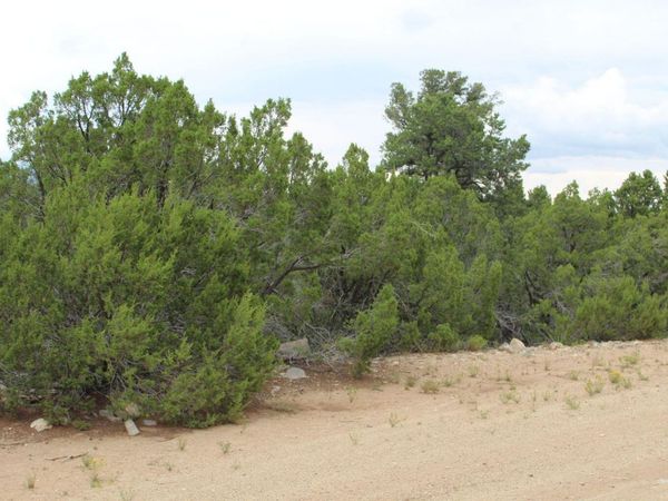 250 FIVE HILLS Drive, Tijeras, NM 87059