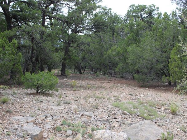 3 Manzano Loop, Tijeras, NM 87059