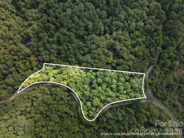 1 Rixhaven Drive , Saluda, NC 28773