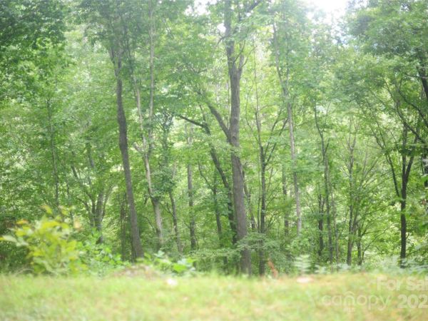 9 Wood Haven Lane, Black Mountain, NC 28711