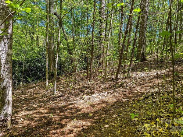 tbd Hunting Lodge Drive, Black Mountain, NC 28711