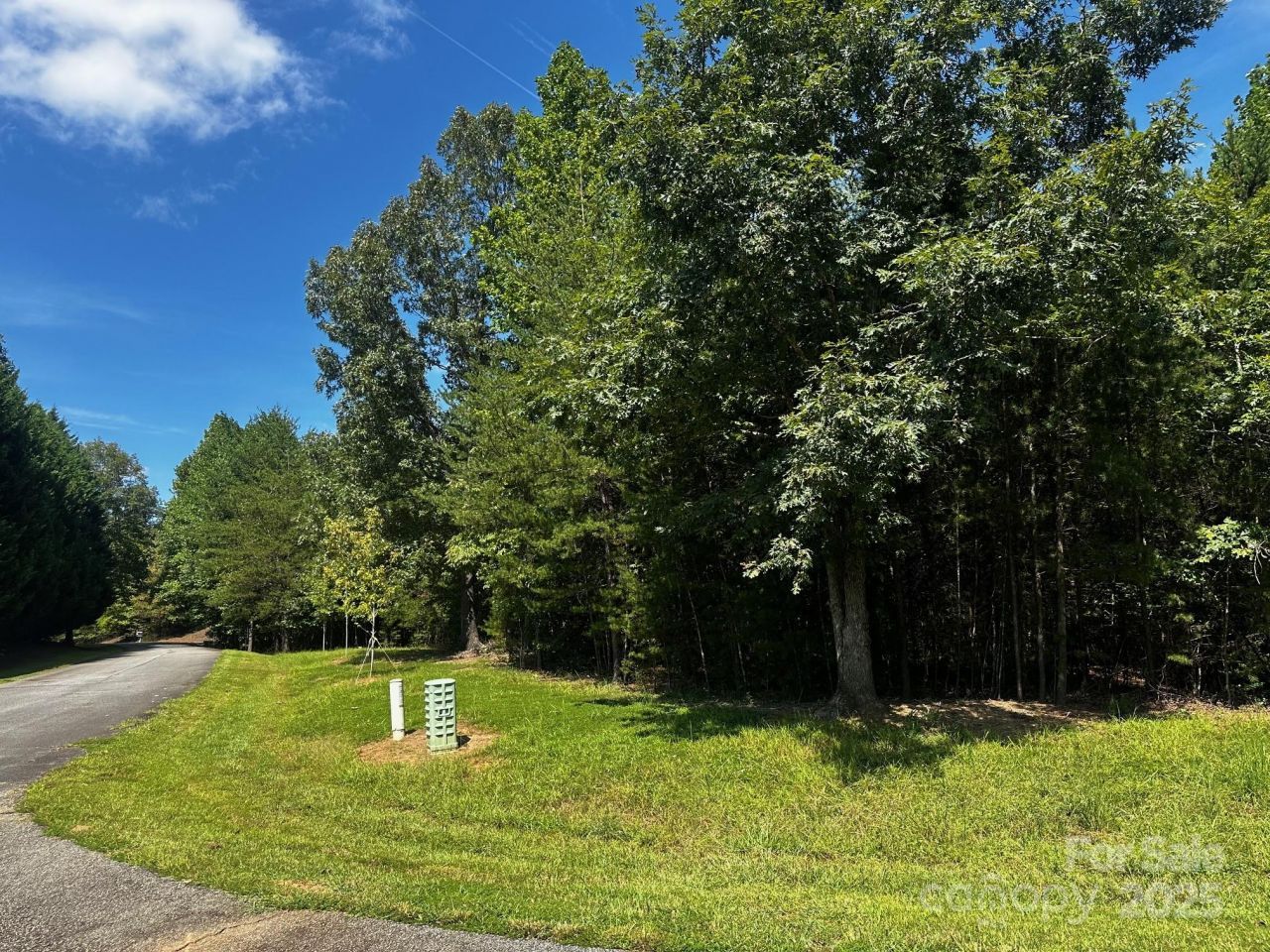 0000 Lake Haven Drive, Lake Lure, NC 28746 Main Photo