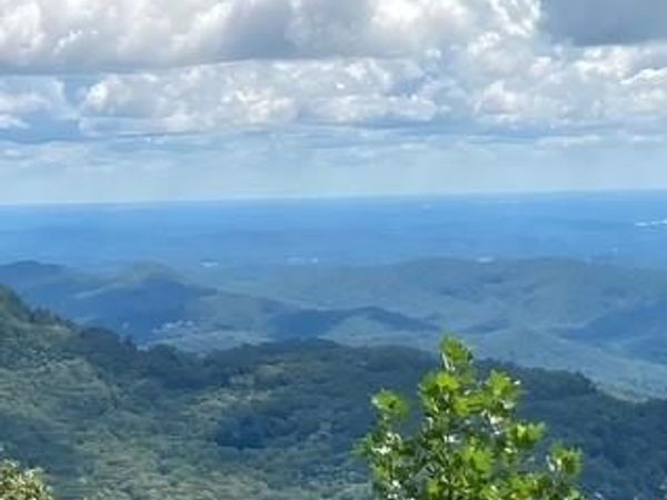 00 Mackerel Mountain Road , Zirconia, NC 28790