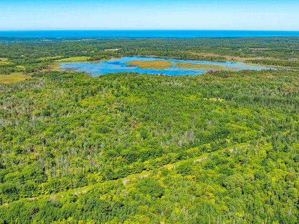 TBD F Boston Road, Franklin Twp, MI 49930