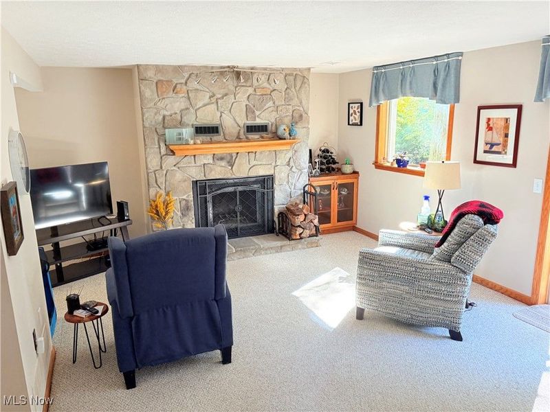 814 Valley Drive, Amherst, OH 44001 Photo 20