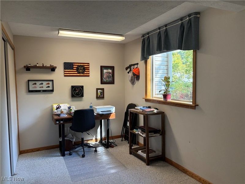 814 Valley Drive, Amherst, OH 44001 Photo 27