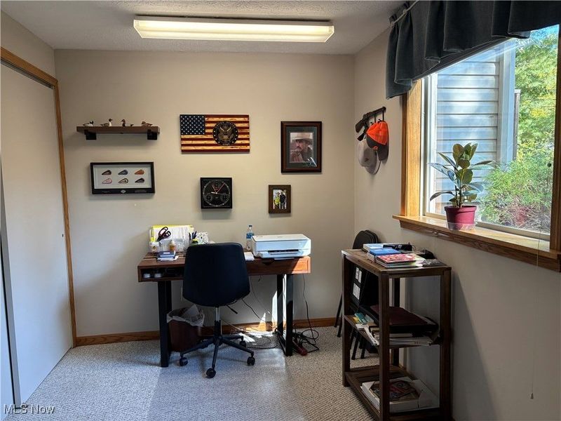 814 Valley Drive, Amherst, OH 44001 Photo 28