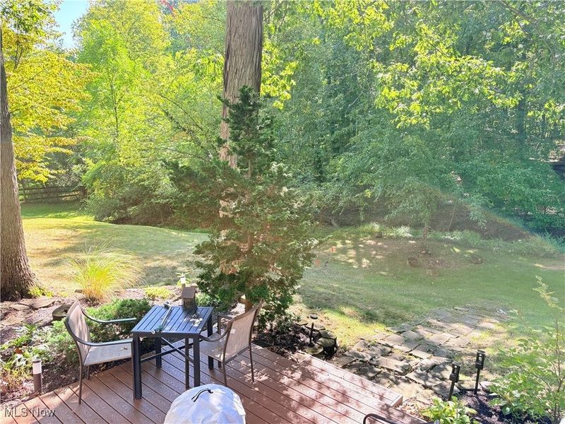 814 Valley Drive, Amherst, OH 44001 Photo 32