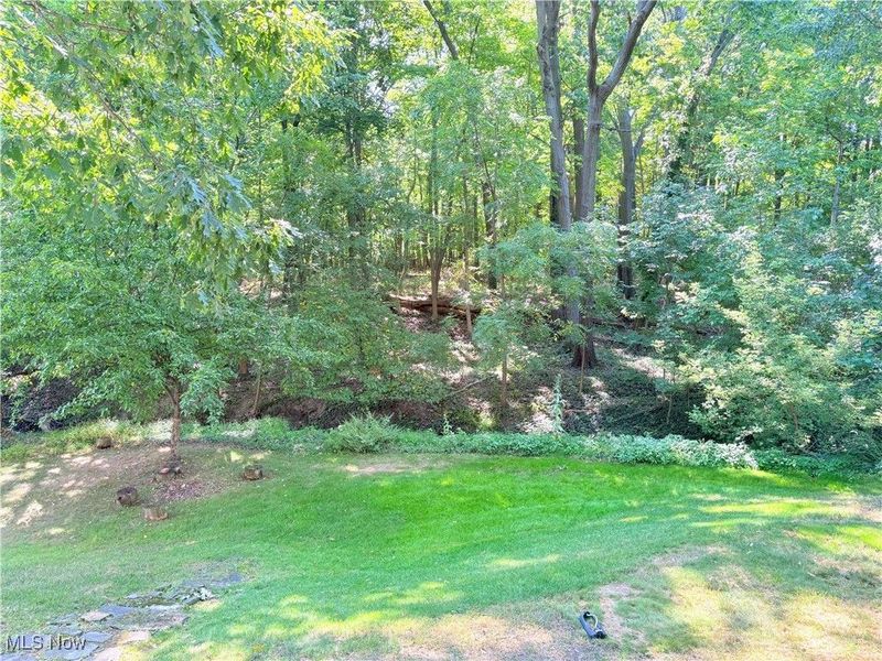 814 Valley Drive, Amherst, OH 44001 Photo 37