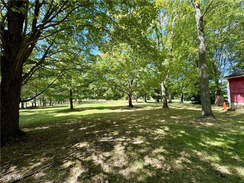 8158 State Route 43, Streetsboro, OH 44241 Photo 25