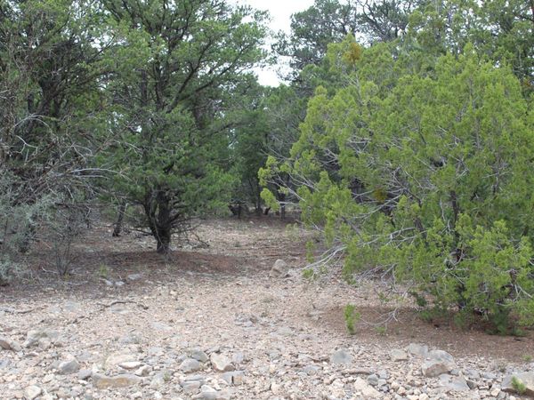 5 MANZANO Loop, Tijeras, NM 87059