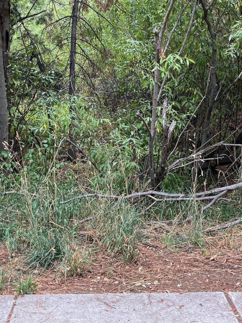 000 Secline Street, Kings Beach, CA 96143 Photo