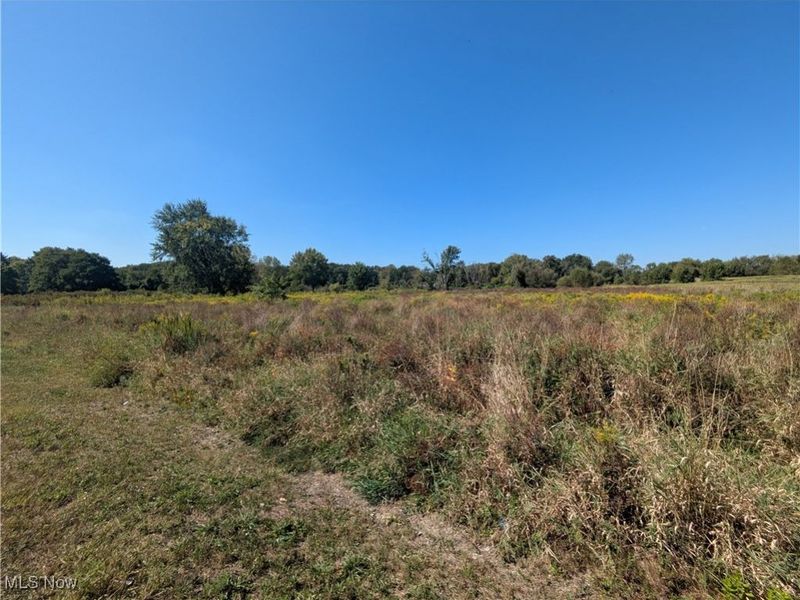 White Pond Drive, Copley, OH 44313 Photo 6