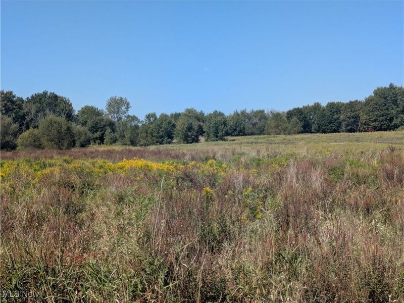 White Pond Drive, Copley, OH 44313 Photo 8