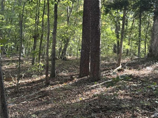 0 Cagle Road NE, Fairmount, GA 30139