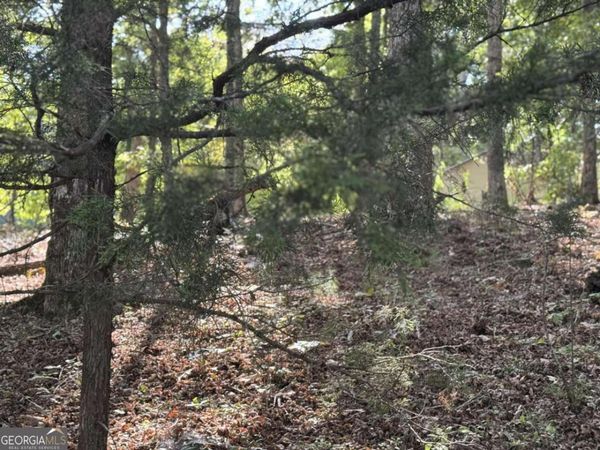 0 Cagle Road NE, Fairmount, GA 30139