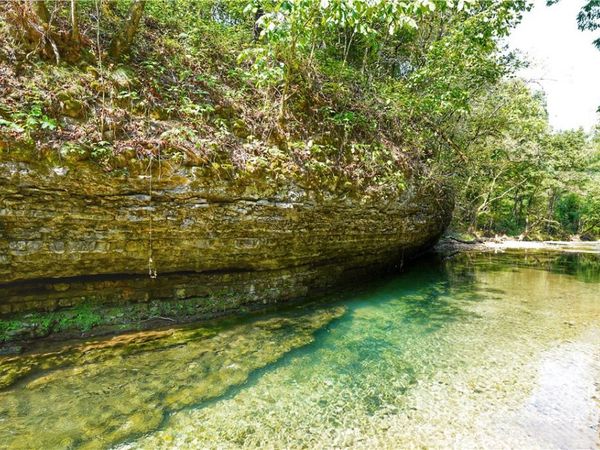 24530 & 24540 Coon Hollow Road, Gentry, AR 72734