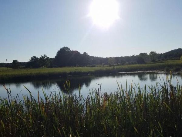 8388 Old Spencer Road, Pikeville, TN 37367