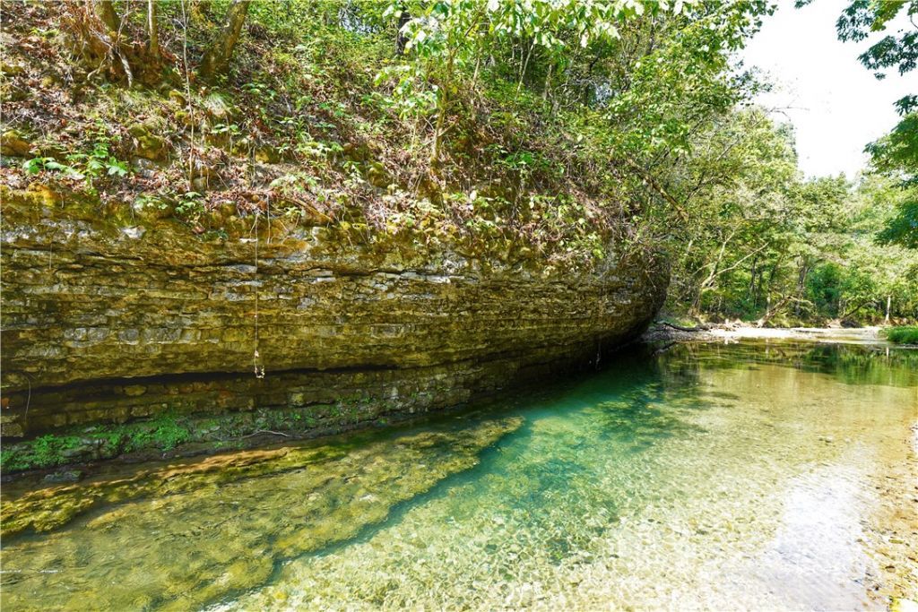 24530 & 24540 Coon Hollow Road, Gentry, AR 72734 Main Photo