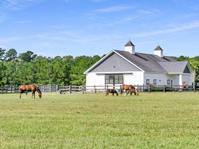 17 Leaning Oak Lane, Ravenel, SC 29470