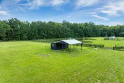 17 Leaning Oak Lane photo 4