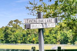 17 Leaning Oak Lane photo 4