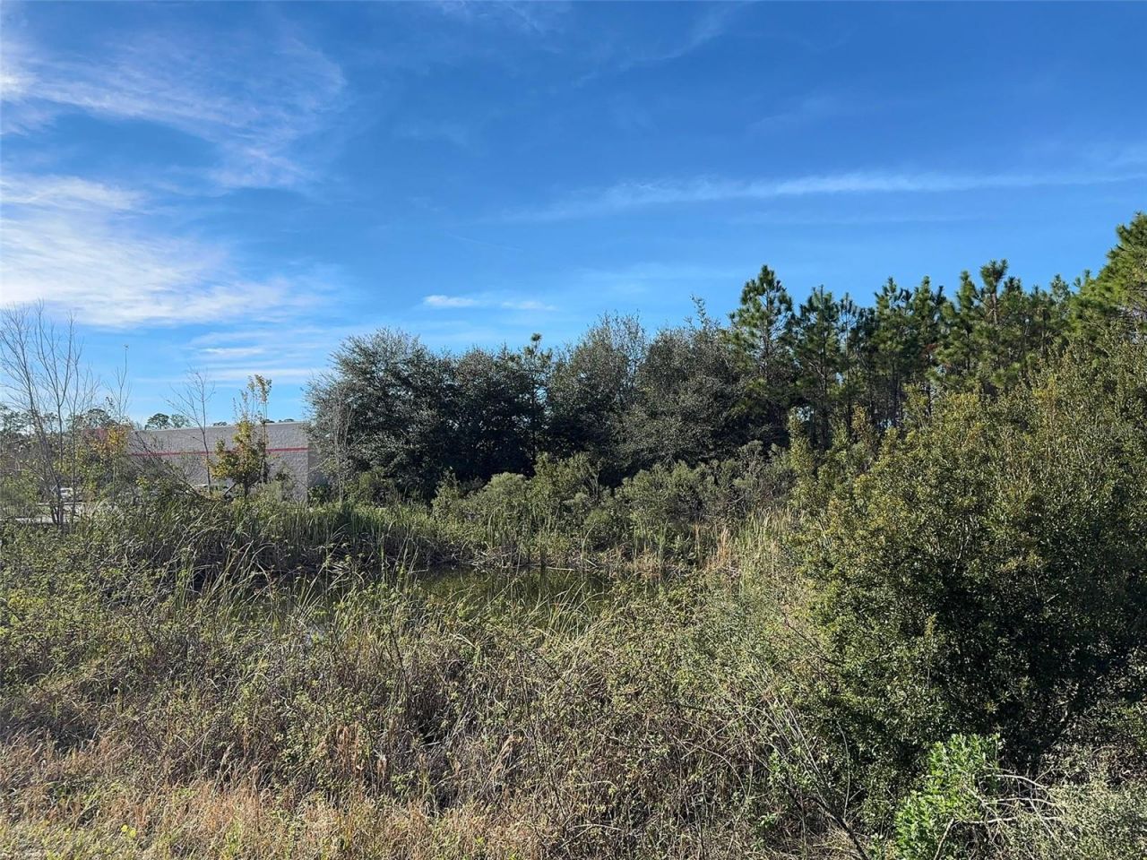 0 N State Street, Bunnell, FL 32110 Photo