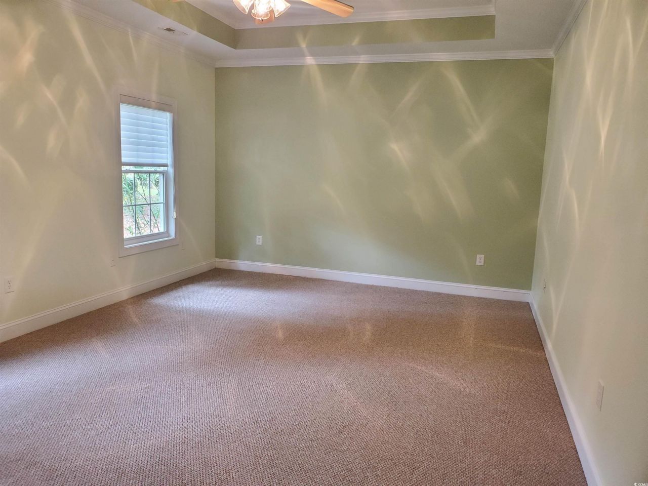 1052 Yellow Jasmine Dr. Photo 19