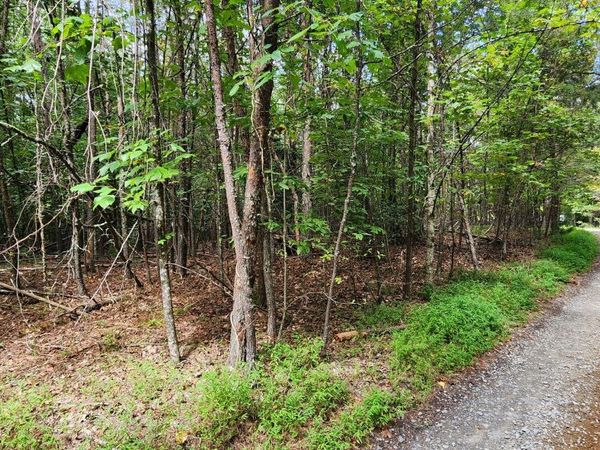 LT 14,15 Donna Lee Lane, Mineral Bluff, GA 30559