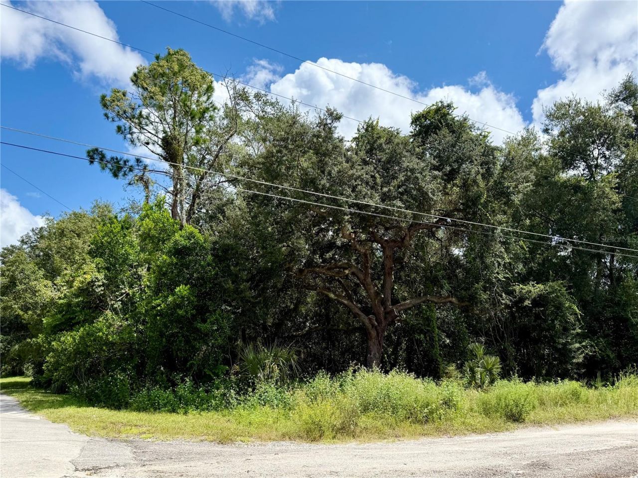 Lot 1 Palm Drive, Eustis, FL 32736 Main Photo