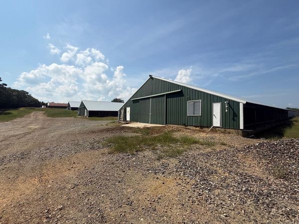 TBD WayBack Lane, Cove, AR 71937