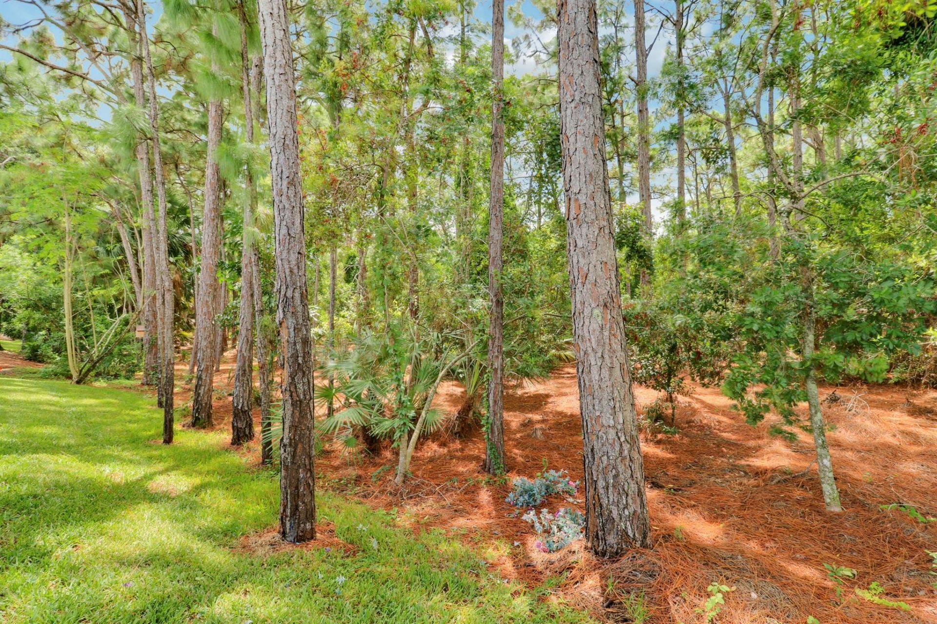 7041 Maidstone Drive, Port Saint Lucie, FL 34986 Photo