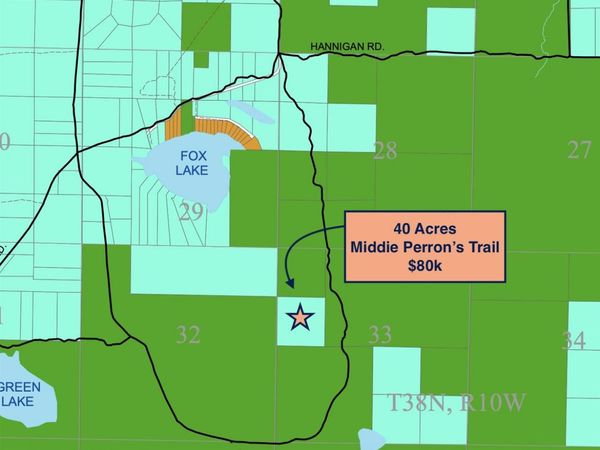 40 Acres Middie Perron's Trail, Beaver Island, MI 49782