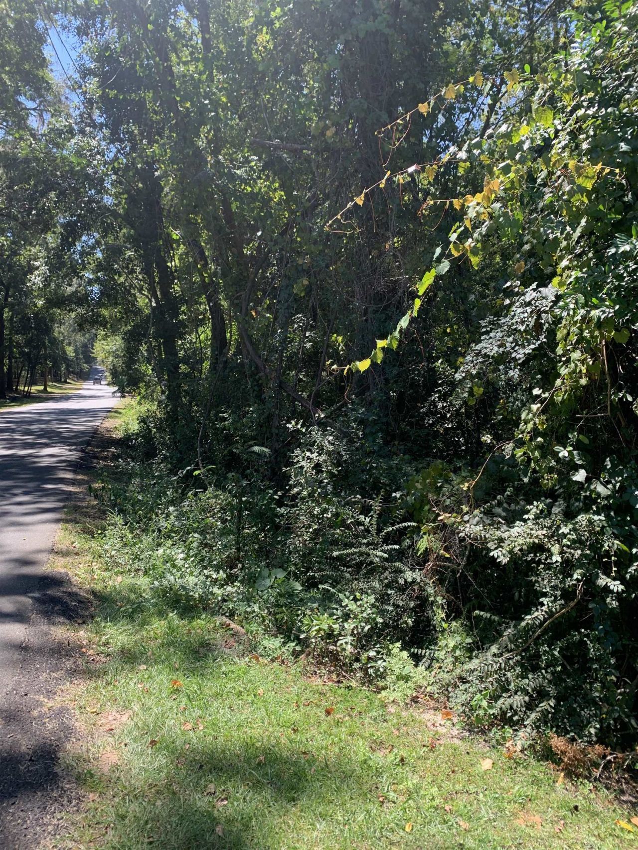 0 Buck Lake Road, Tallahassee, FL 32317 Photo