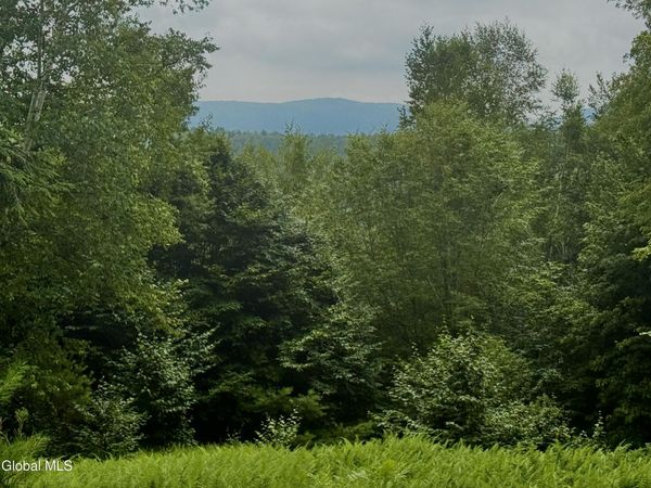 L21.11 Black River Road, Stephentown, NY 12169