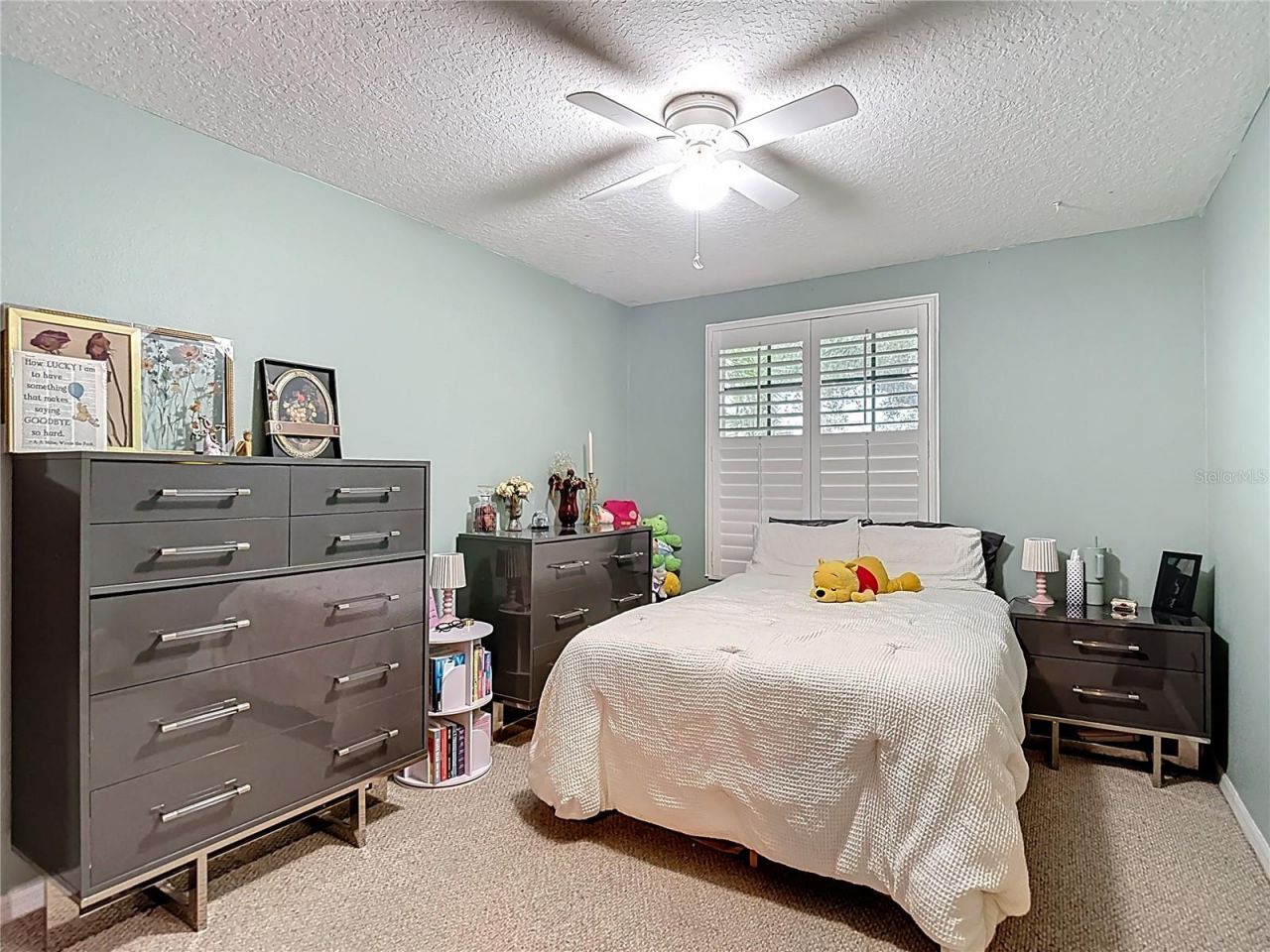 311 Golden Elm Drive, Seffner, FL 33584 Photo