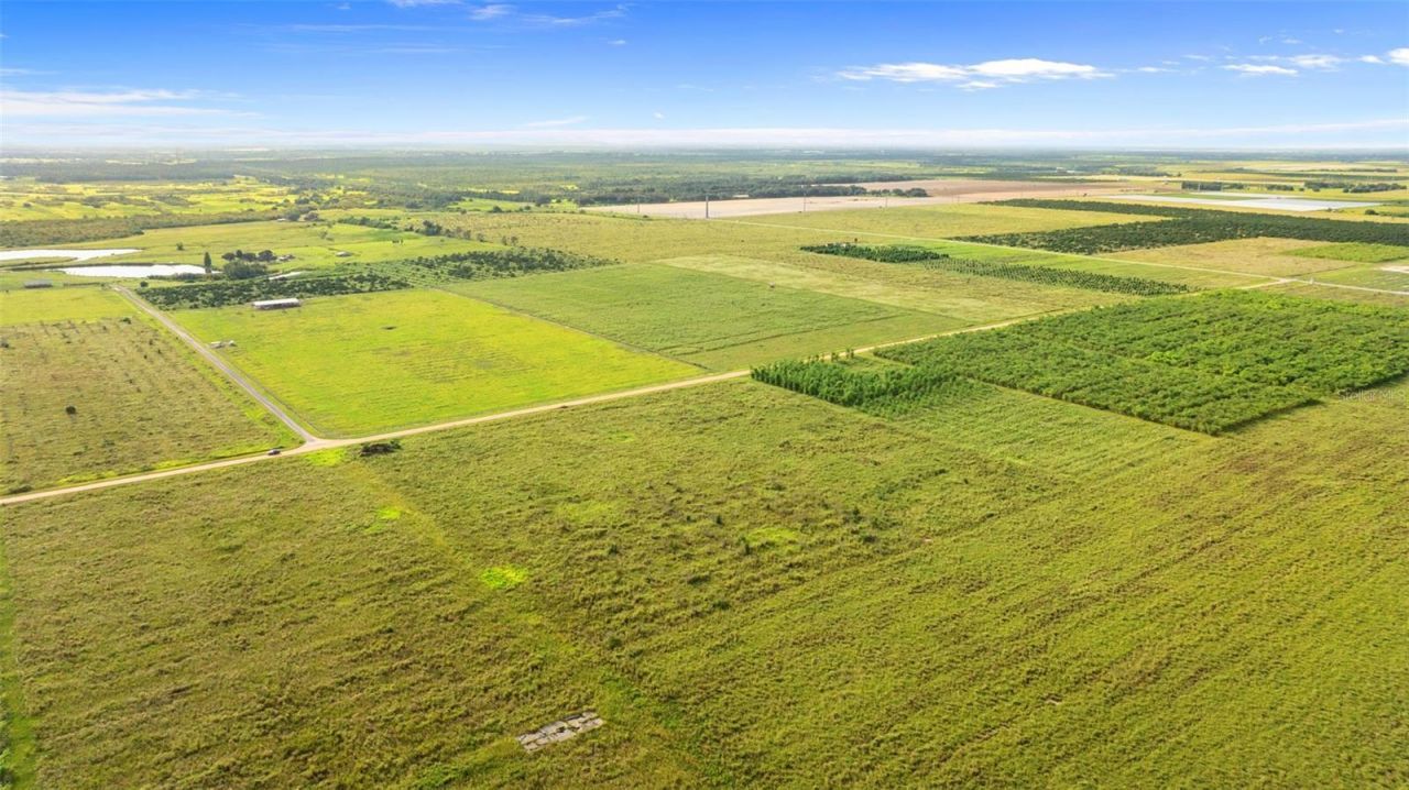 Garfield Road, Fort Meade, FL 33841 Photo