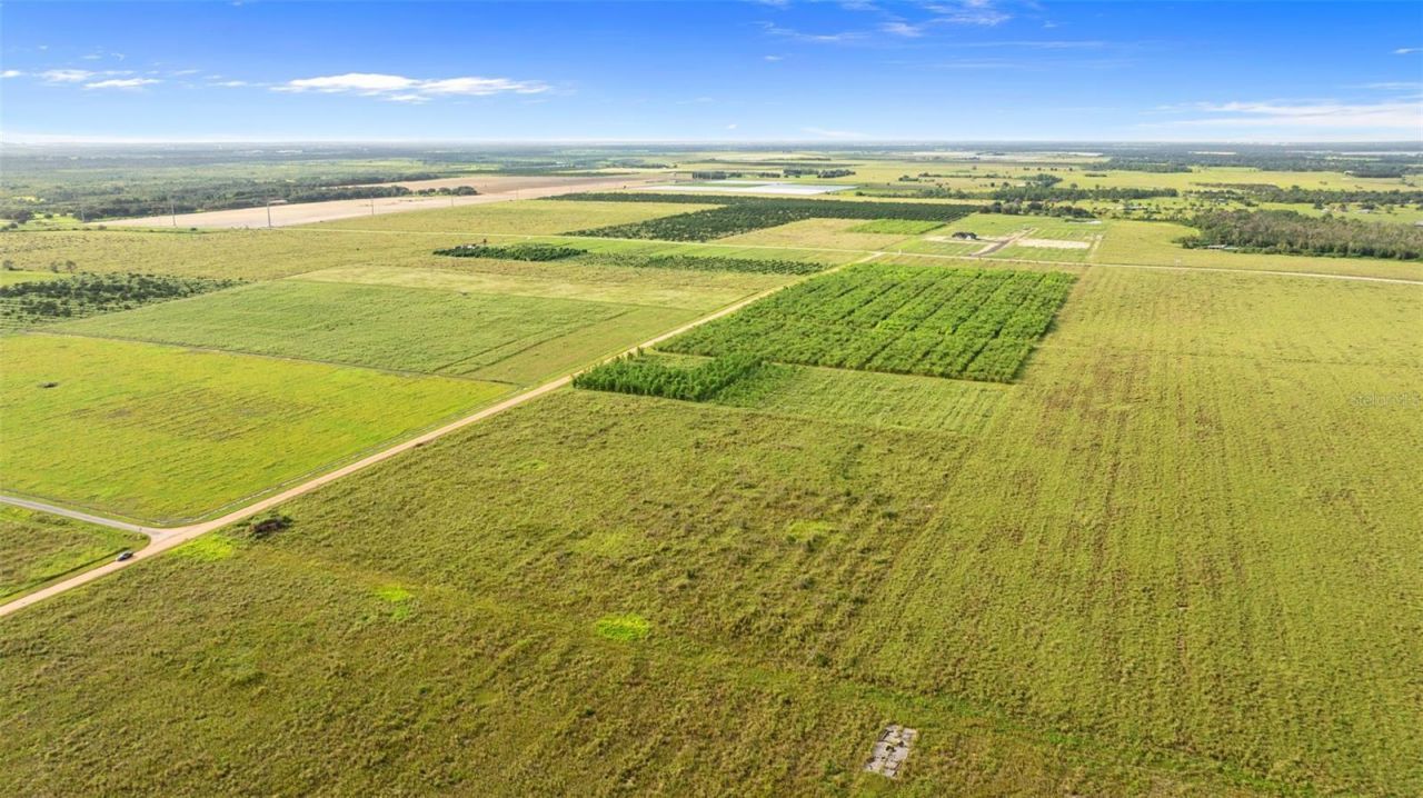 Garfield Road, Fort Meade, FL 33841 Photo