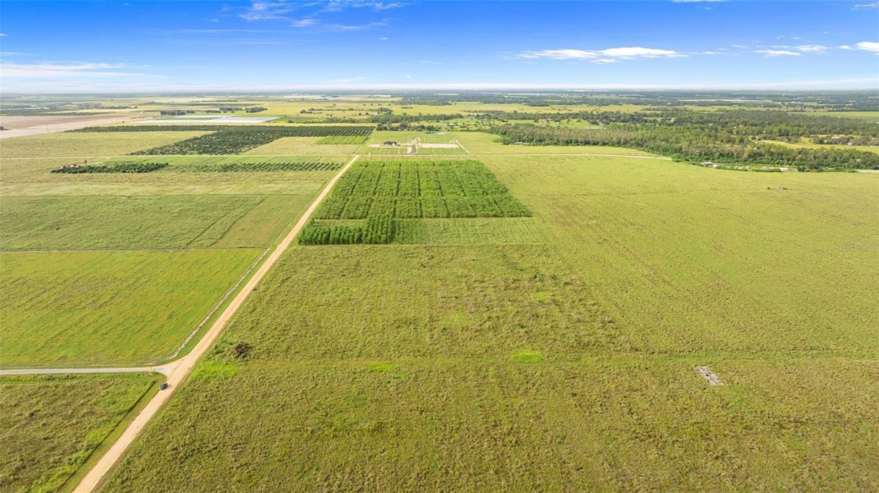 Garfield Road, Fort Meade, FL 33841 Photo